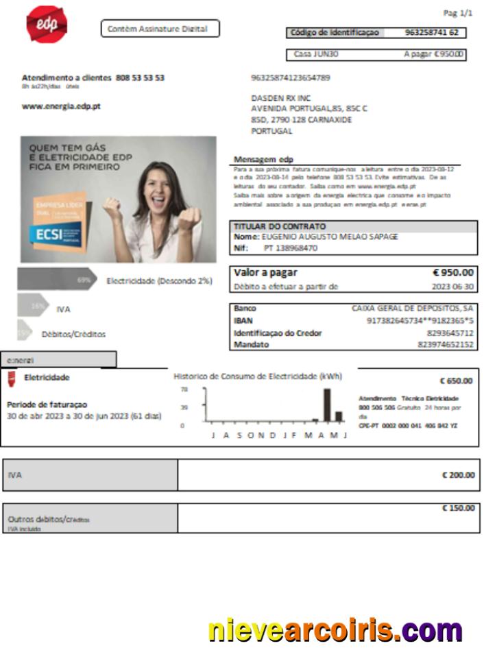 EDP Portugal electricity utility business bill